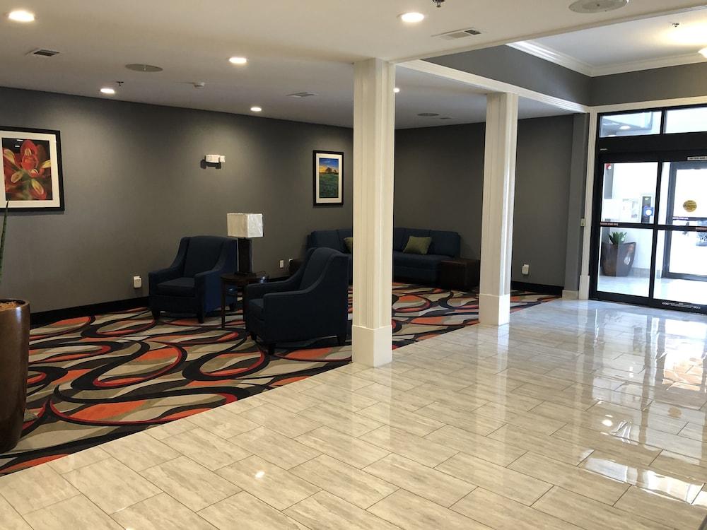 Comfort Inn & Suites Gatesville Near Fort Cavazos Eksteriør billede