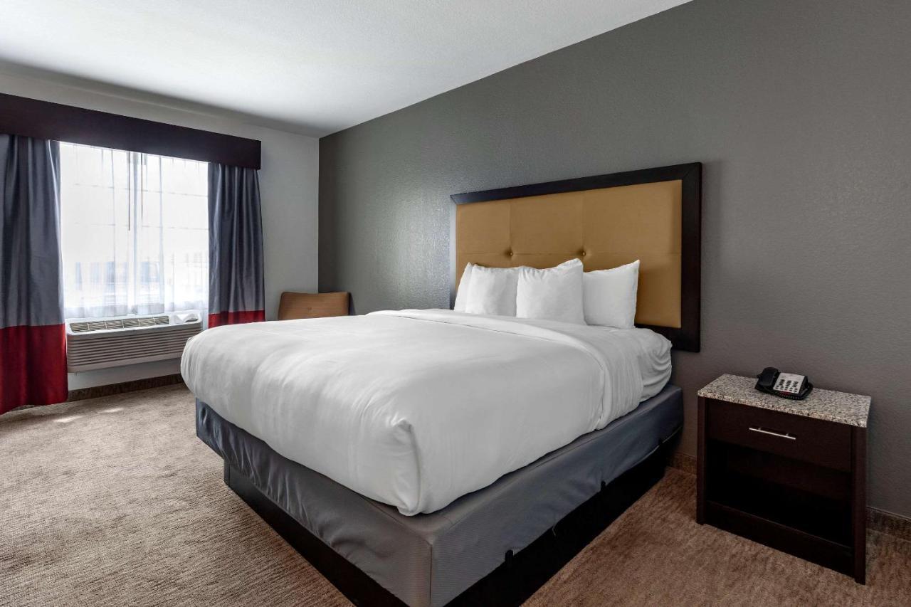 Comfort Inn & Suites Gatesville Near Fort Cavazos Eksteriør billede